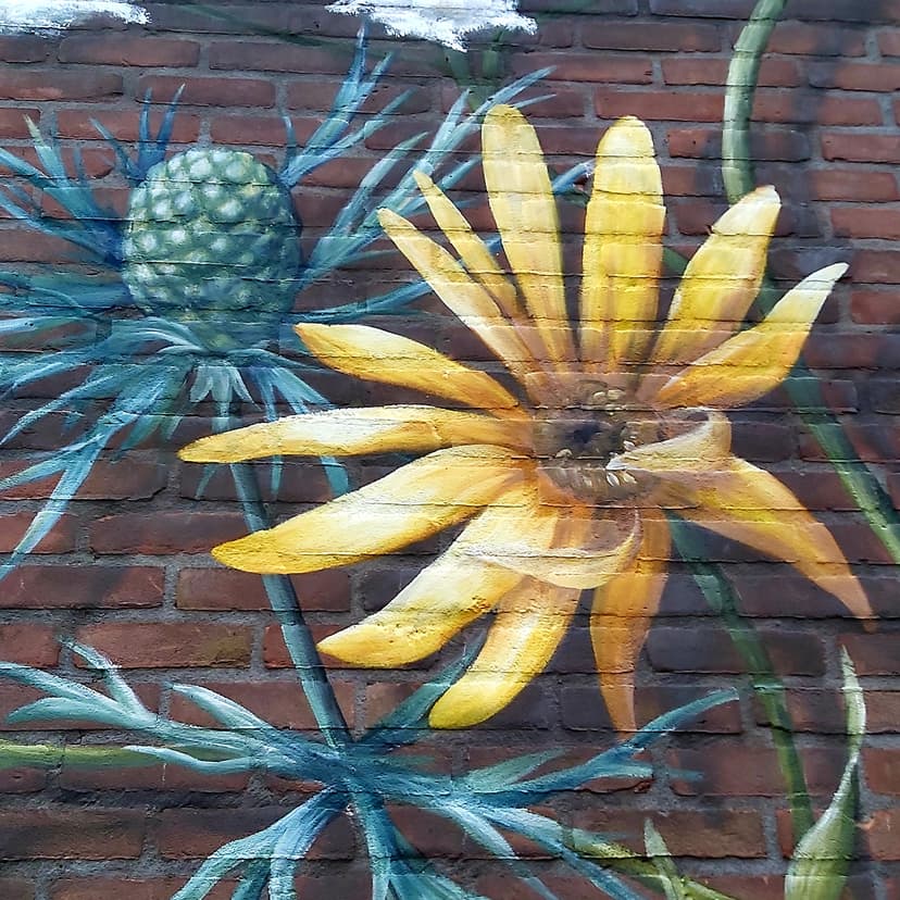 Mural on Rozenstraat